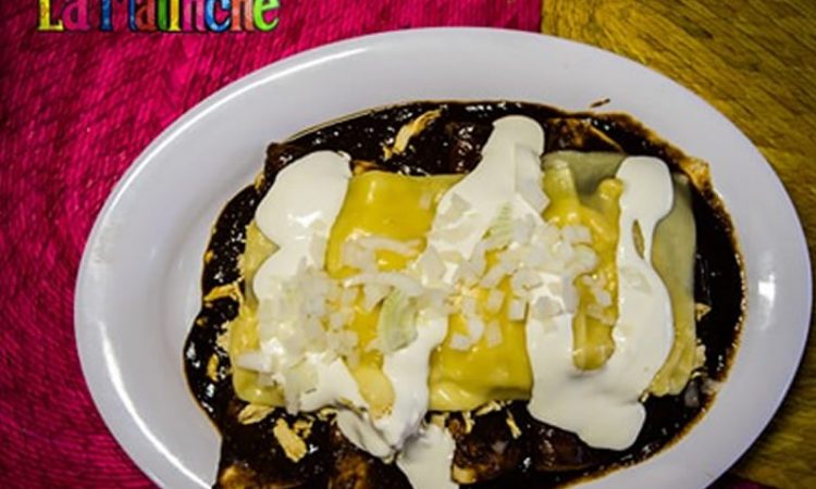 Receta Enchiladas Tapatas Zona Guadalajara